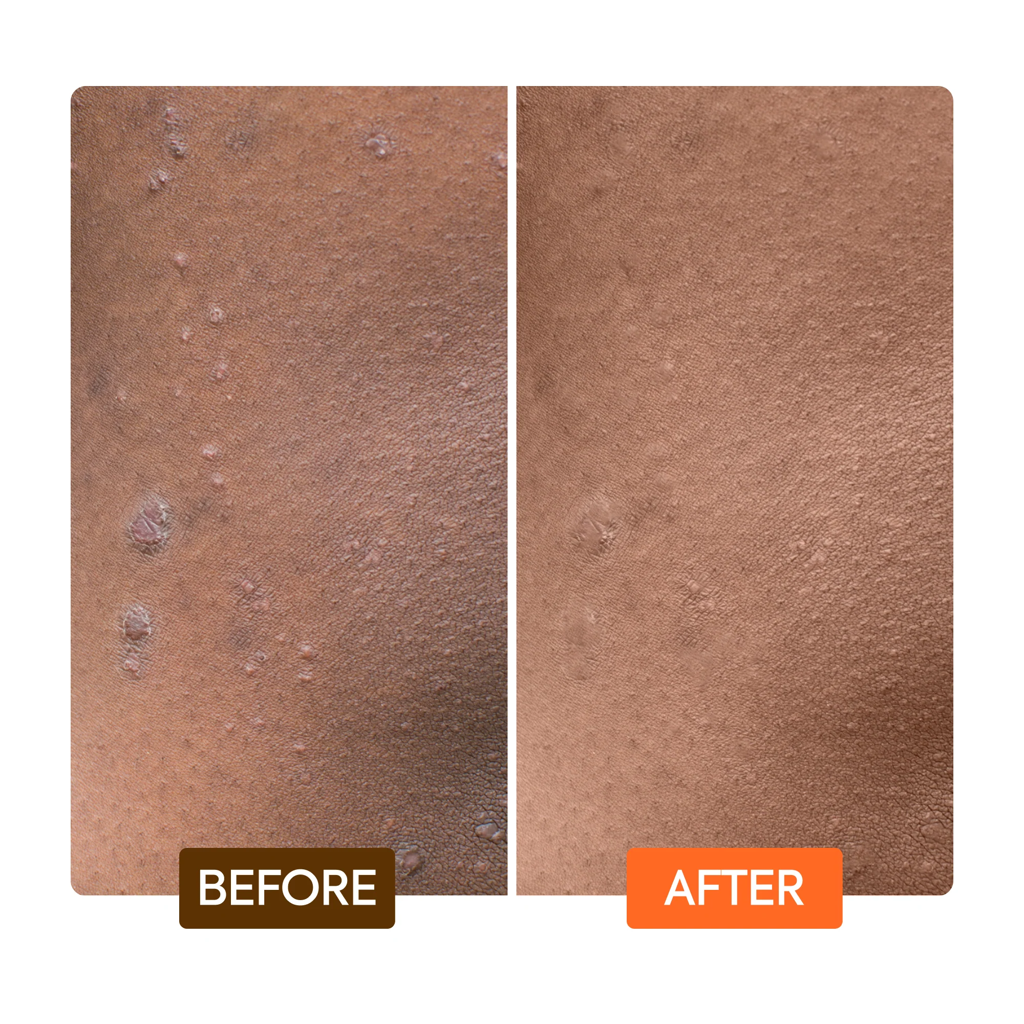 Extreme Argan & Carrot Oil Tone Boosting Body Lotion - Image 7